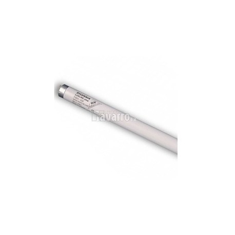 TUBO FLUORESCENTE T8 36W 1200MM