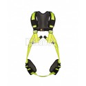 ARNES MIRA 15 S-50