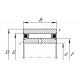 RODAMIENTO AGUJAS NAO6X17X10-TV-IS1-XL