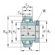 RODAMIENTO AUTOLINEABLE GNE60-KRR-B