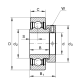 RODAMIENTO AUTOLINEABLE RAE60-XL-NPP