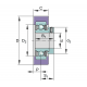 RODAMIENTO AUTOLINEABLE RCSMB20/65-FA106