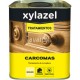 XYLAZEL CARCOMAS